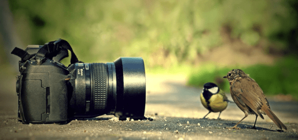 Sell your photography/blissful ways to money online in 2023
