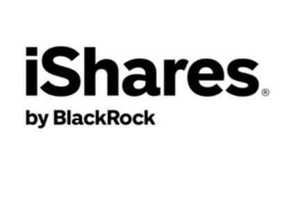 i Share by black rock