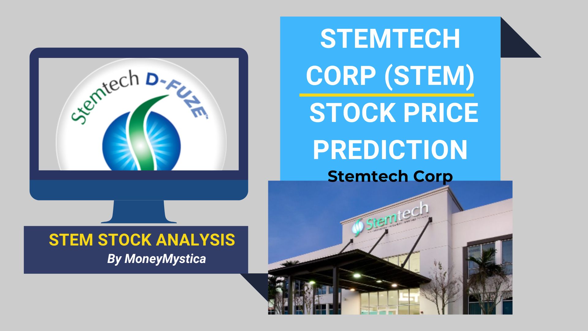 Stek Stock Price Prediction 2025, 2030 Growth